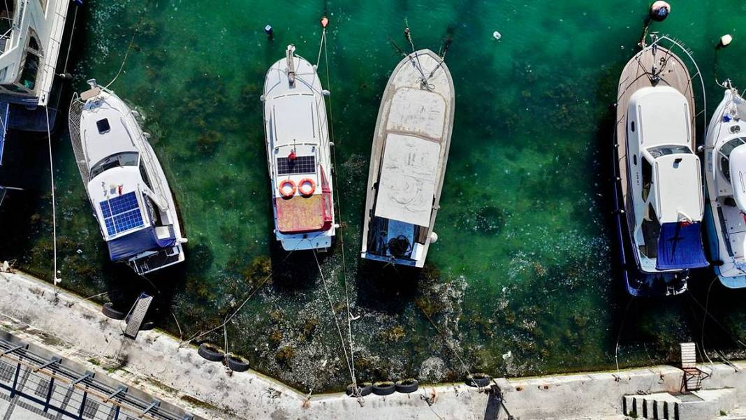 İstanbul'un o sahilinde yürüyüş yapanlar gözlerine inanamadı! Bitti denmişti, meğer yeniden başlıyormuş 2